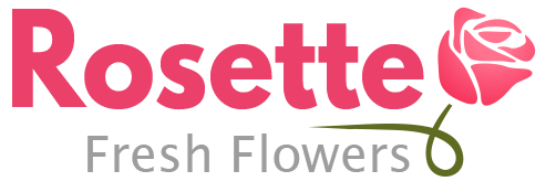 Rosette Fresh Flowers